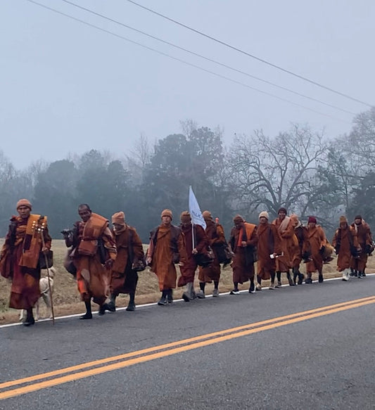 Social Media & Walk for Peace