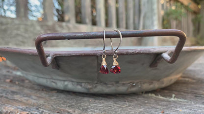 January Earrings - Handmade. Garnet. Mixed Metals. Oxidized Fine silver & 14 kt Goldfill dangle Earrings. One Pair.
